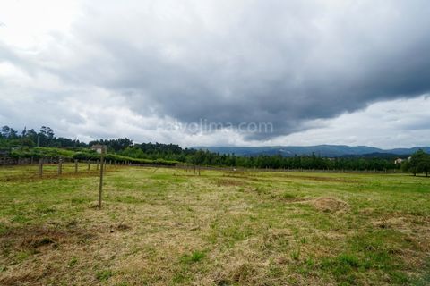 Farm i Moncao, Viana do Castelo, Moncao - € 430.000 | Ref: 4185 - foto 16