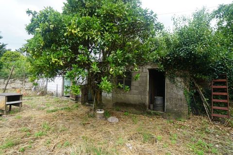 Farm i Moncao, Viana do Castelo, Moncao - € 430.000 | Ref: 4185 - foto 17