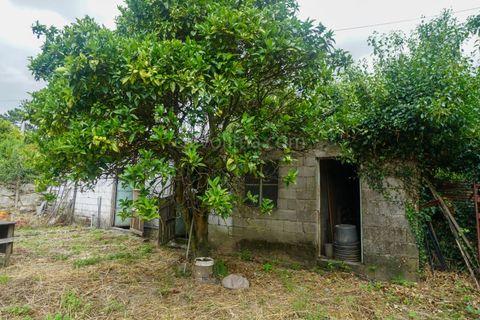Farm i Moncao, Viana do Castelo, Moncao - € 430.000 | Ref: 4185 - foto 18