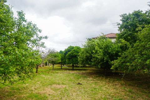 Farm i Moncao, Viana do Castelo, Moncao - € 430.000 | Ref: 4185 - foto 22