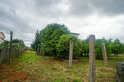 Farm i Moncao, Viana do Castelo, Moncao - € 430.000 | Ref: 4185 - foto 24