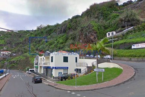 Erhvervsejendom i Ponta do Sol, Madeira, Ponta do Sol - € 121.000 | Ref: N-31124 - foto 13