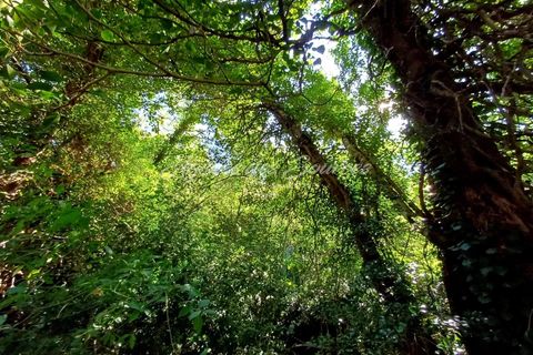 Terreno en Bras, Var, Bras - € 78.000 | Ref: 1734 - photo 2