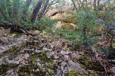 Terreno en Bras, Var, Bras - € 78.000 | Ref: 1734 - photo 3