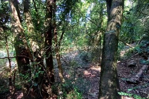 Terreno en Bras, Var, Bras - € 78.000 | Ref: 1734 - photo 5