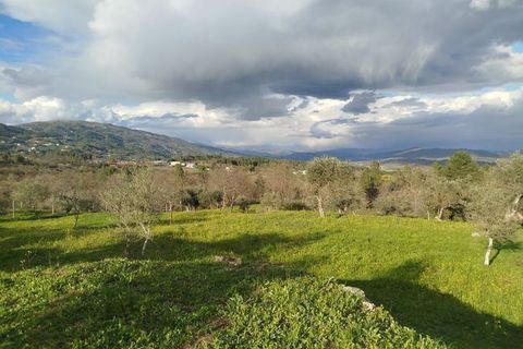 Farm i Covilha, Castelo Branco, Covilha - € 324.900 | Ref: Q-31123 - foto 9