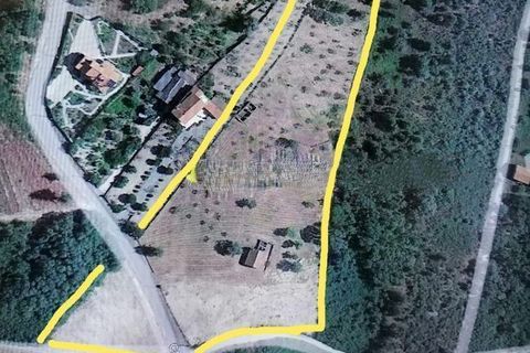 Farm i Covilha, Castelo Branco, Covilha - € 324.900 | Ref: Q-31123 - foto 13