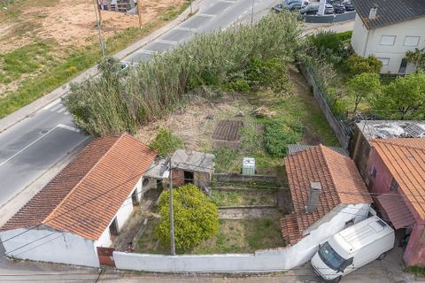 Villa i Coimbra, Coimbra, Coimbra - € 210.000 | Ref: M-31205 - foto 5