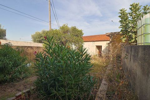Villa i Coimbra, Coimbra, Coimbra - € 210.000 | Ref: M-31205 - foto 9