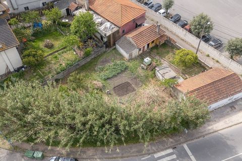 Villa i Coimbra, Coimbra, Coimbra - € 210.000 | Ref: M-31205 - foto 20