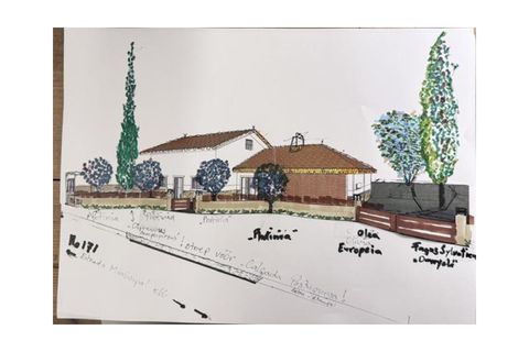 Landejendom i Santo Onofre e Serra do Bouro, Leiria, Santo Onofre e Serra do Bouro - € 269.000 | Ref: MOR4370 - foto 32