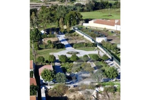 Farm i Santo Onofre e Serra do Bouro, Leiria, Santo Onofre e Serra do Bouro - € 269.000 | Ref: QUIN3134 - foto 13