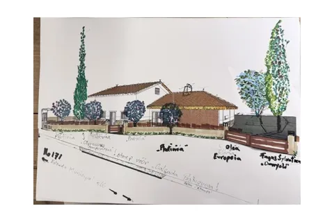 Farm i Santo Onofre e Serra do Bouro, Leiria, Santo Onofre e Serra do Bouro - € 269.000 | Ref: QUIN3134 - foto 32