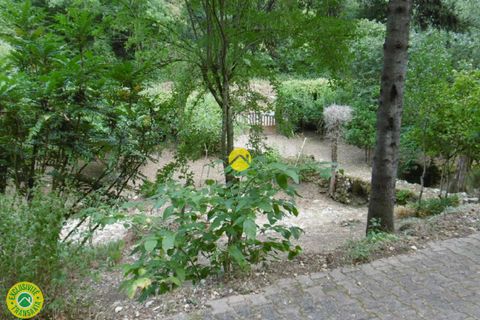 Terra a Fontgombault, Indre, Fontgombault - € 59.500 | Ref: 82CAL111902 - foto 7