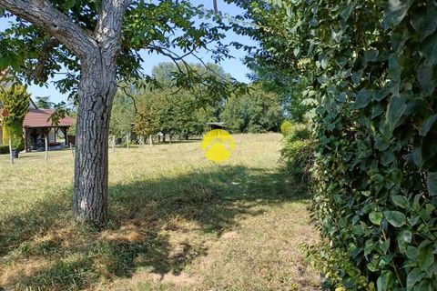 Terra a Gracay, Cher, Gracay - € 23.000 | Ref: 31MS108064 - foto 3