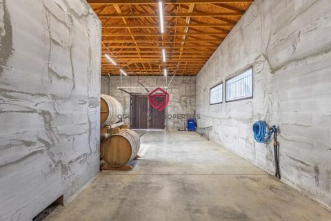 Farm i Limoux, Aude, Limoux - € 900.000 | Ref: NV035 - foto 9