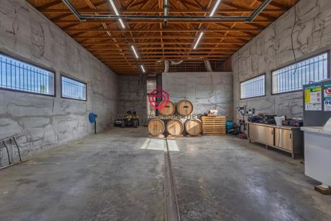Farm i Limoux, Aude, Limoux - € 900.000 | Ref: NV035 - foto 10