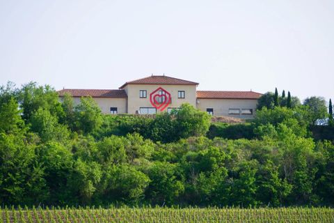 Farm i Limoux, Aude, Limoux - € 900.000 | Ref: NV035 - foto 22