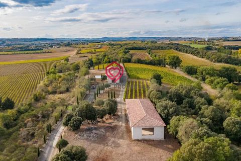 Farm i Limoux, Aude, Limoux - € 900.000 | Ref: NV035 - foto 23