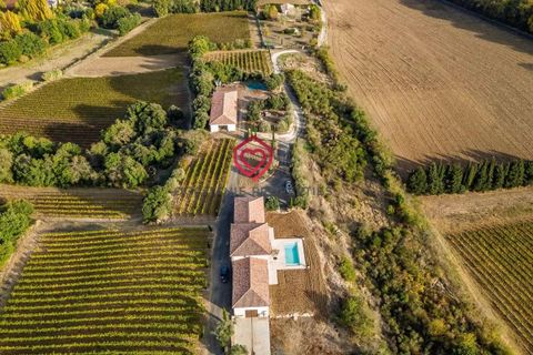 Farm i Limoux, Aude, Limoux - € 900.000 | Ref: NV035 - foto 24
