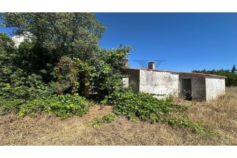 Gårdshus i Beja, Beja, Beja - € 200 000 | Ref: BYS-1156 - foto 5