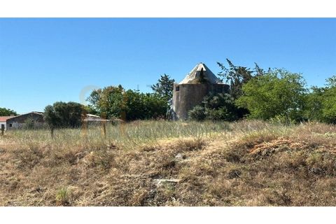 Gårdshus i Beja, Beja, Beja - € 200 000 | Ref: BYS-1156 - foto 6