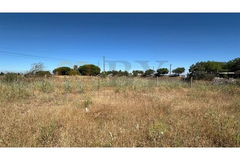 Gårdshus i Beja, Beja, Beja - € 200 000 | Ref: BYS-1156 - foto 10
