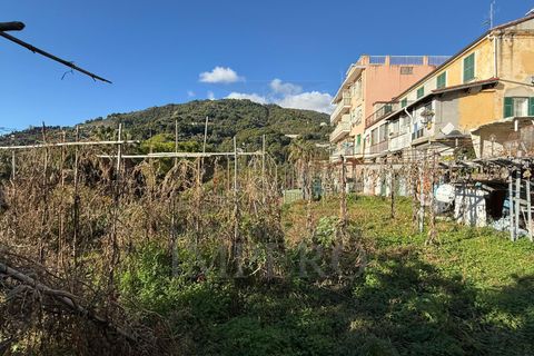 Lejlighed i Ventimiglia, Imperia, Ventimiglia - € 115.000 | Ref: 23975 - foto 21