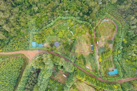 Helårsgrund i Santana, Madeira, Santana - € 220.000 | Ref: KWPT-035039 - foto 3