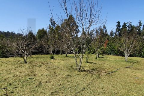 Helårsgrund i Santana, Madeira, Santana - € 220.000 | Ref: KWPT-035039 - foto 5