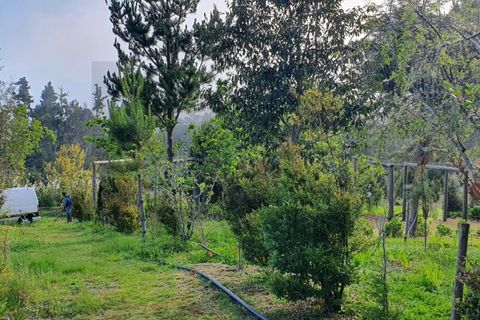 Helårsgrund i Santana, Madeira, Santana - € 220.000 | Ref: KWPT-035039 - foto 8