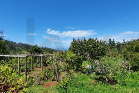Helårsgrund i Santana, Madeira, Santana - € 220.000 | Ref: KWPT-035039 - foto 9