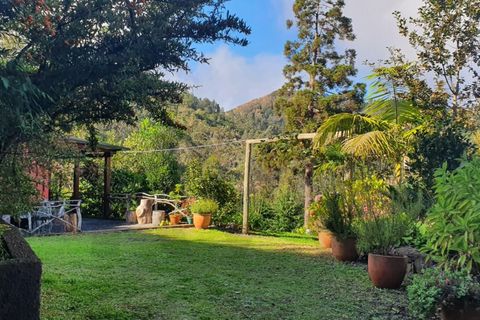 Helårsgrund i Santana, Madeira, Santana - € 220.000 | Ref: KWPT-035039 - foto 17