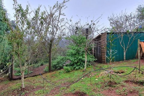 Helårsgrund i Santana, Madeira, Santana - € 220.000 | Ref: KWPT-035039 - foto 18