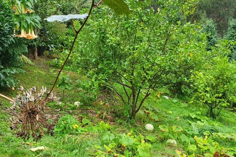 Helårsgrund i Santana, Madeira, Santana - € 220.000 | Ref: KWPT-035039 - foto 20