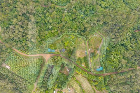Helårsgrund i Santana, Madeira, Santana - € 220.000 | Ref: KWPT-035039 - foto 21