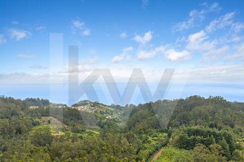 Helårsgrund i Santana, Madeira, Santana - € 220.000 | Ref: KWPT-035039 - foto 23