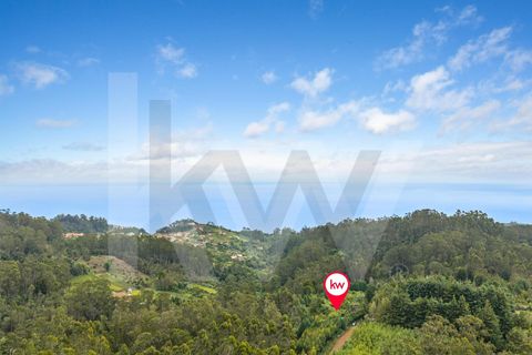Helårsgrund i Santana, Madeira, Santana - € 220.000 | Ref: KWPT-035039 - foto 24