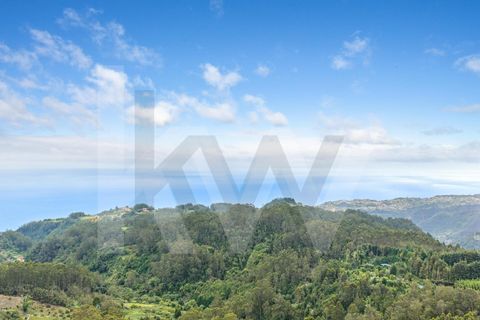 Helårsgrund i Santana, Madeira, Santana - € 220.000 | Ref: KWPT-035039 - foto 25