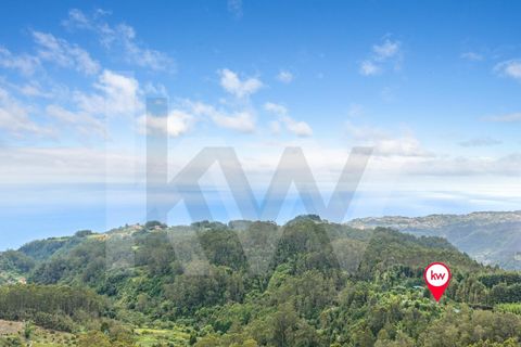 Helårsgrund i Santana, Madeira, Santana - € 220.000 | Ref: KWPT-035039 - foto 26