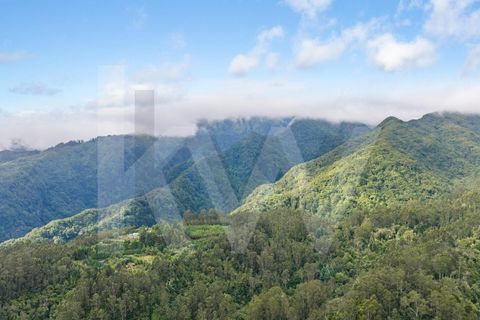 Helårsgrund i Santana, Madeira, Santana - € 220.000 | Ref: KWPT-035039 - foto 27