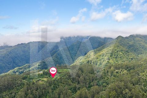 Helårsgrund i Santana, Madeira, Santana - € 220.000 | Ref: KWPT-035039 - foto 28