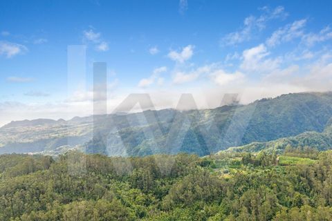 Helårsgrund i Santana, Madeira, Santana - € 220.000 | Ref: KWPT-035039 - foto 29