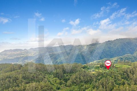 Helårsgrund i Santana, Madeira, Santana - € 220.000 | Ref: KWPT-035039 - foto 30