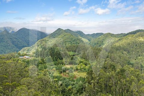 Helårsgrund i Santana, Madeira, Santana - € 220.000 | Ref: KWPT-035039 - foto 31