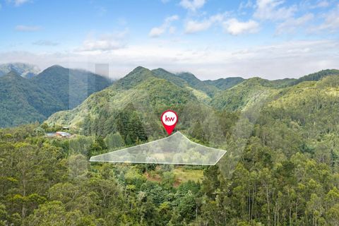 Helårsgrund i Santana, Madeira, Santana - € 220.000 | Ref: KWPT-035039 - foto 32