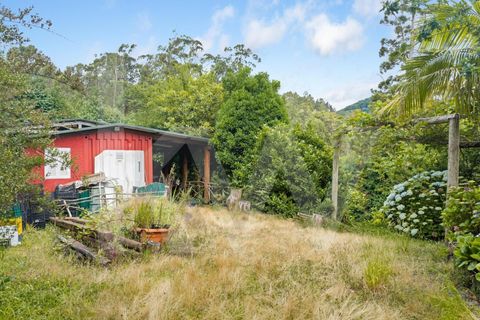 Helårsgrund i Santana, Madeira, Santana - € 220.000 | Ref: KWPT-035039 - foto 36