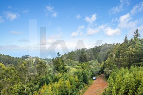 Helårsgrund i Santana, Madeira, Santana - € 220.000 | Ref: KWPT-035039 - foto 37