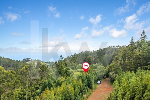 Helårsgrund i Santana, Madeira, Santana - € 220.000 | Ref: KWPT-035039 - foto 38