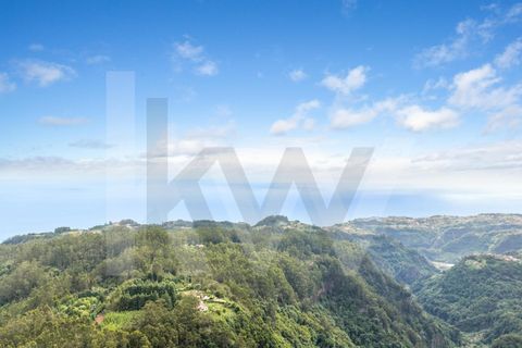 Helårsgrund i Santana, Madeira, Santana - € 220.000 | Ref: KWPT-035039 - foto 39